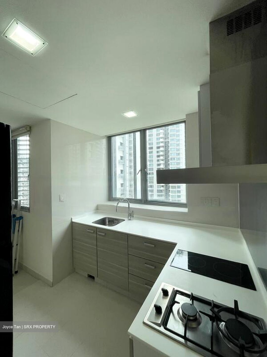 Park Infinia At Wee Nam (D11), Condominium #570203651